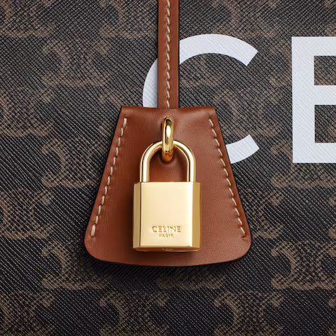 191482CYX-04LU_4_SUM23.jpg CELINE Medium Travel Bag IN Triomphe Canvas with Celine Print