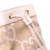19739035_53171729_1000.jpg Gucci mini Ophidia bucket bag