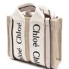 22984110_53255368_1000.jpg Chloé nano Woody tote bag