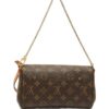 Louis Vuitton Favorite monogram chain bag