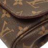 Louis Vuitton Favorite monogram chain bag