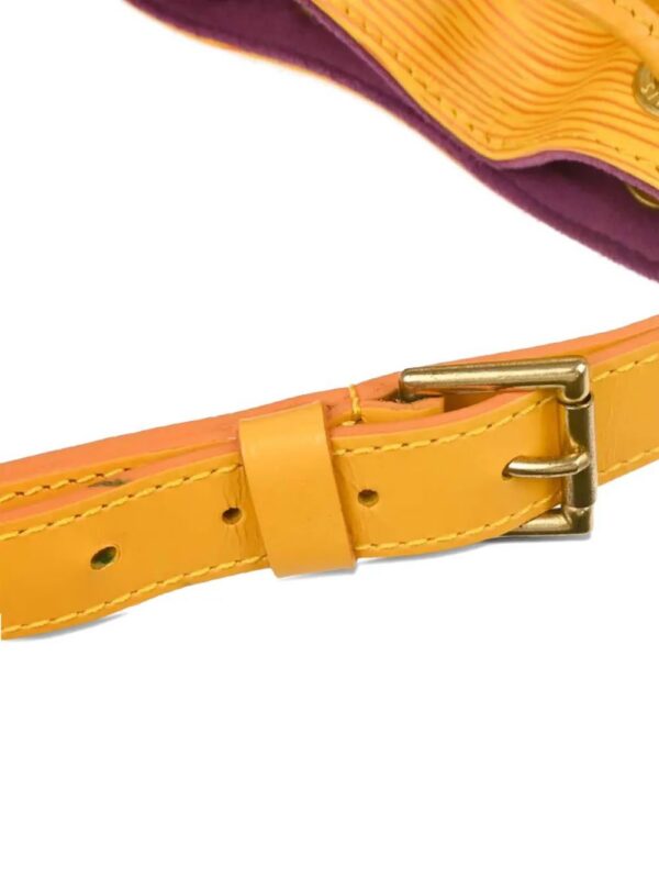 Louis Vuitton Noe bucket bag