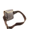 Louis Vuitton monogram belt bag