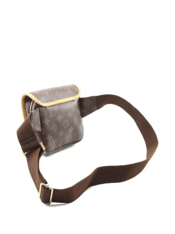 Louis Vuitton monogram belt bag