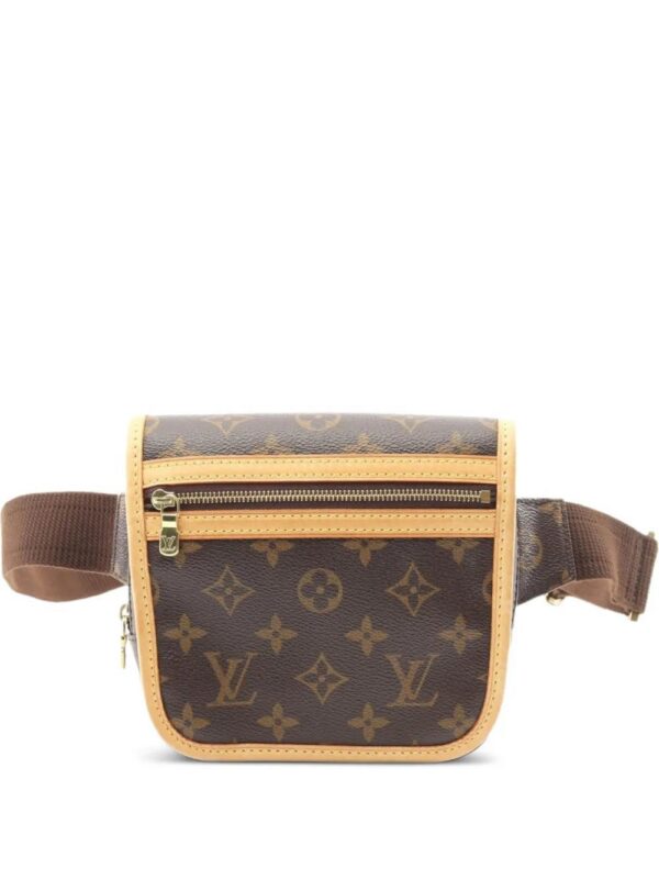 Louis Vuitton monogram belt bag