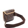 Louis Vuitton monogram belt bag