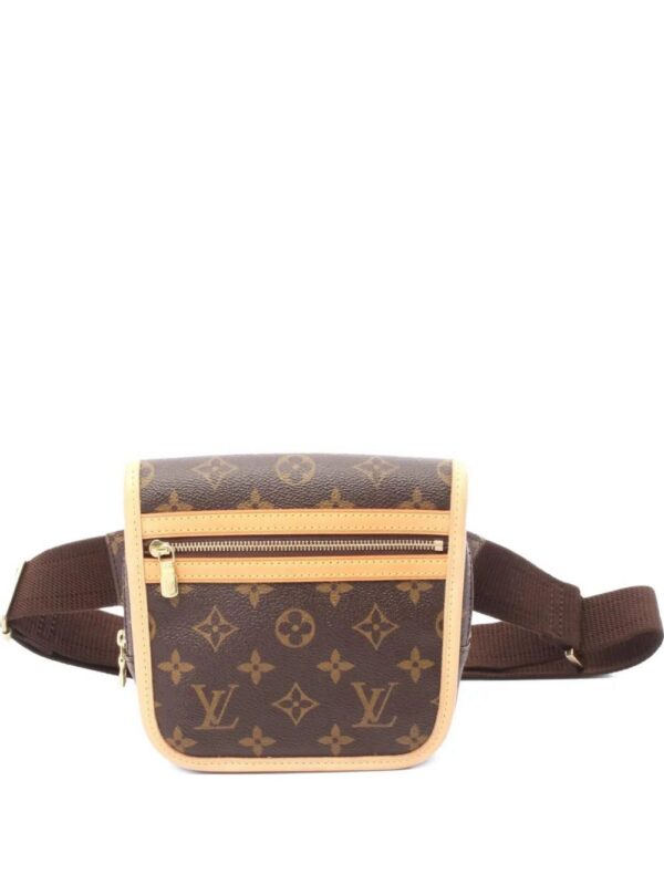 Louis Vuitton monogram belt bag