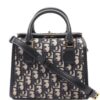 31508148_60894900_1000.jpg Christian Dior 2010s Oblique Mini tote bag