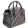 31508148_60894930_1000.jpg Christian Dior 2010s Oblique Mini tote bag