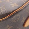 Louis Vuitton small Blower monogram shoulder bag