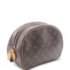 Louis Vuitton small Blower monogram shoulder bag