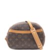 Louis Vuitton small Blower monogram shoulder bag