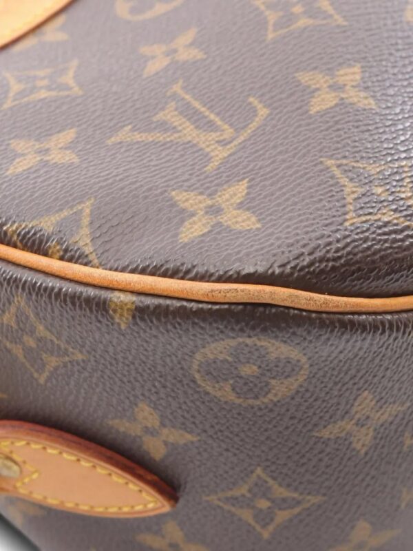 Louis Vuitton small Blower monogram shoulder bag