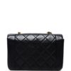 31576060_60930125_1000_f7a7b57d-b12b-48de-82ef-f0e6f95ac721.jpg CHANEL - Diana quilted flap chain shoulder bag
