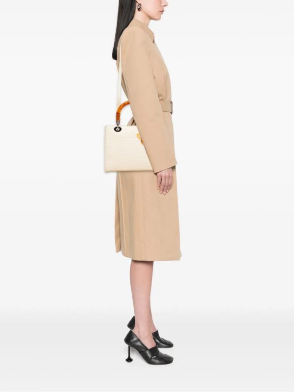 Christian Dior Medium Canvas Lady Dior satchel