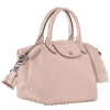 Longchamp Le Pliage Xtra S Handbag