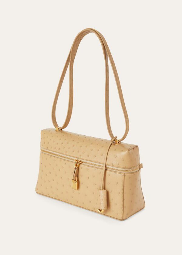asd_9ca3efd6-3f37-4e0a-a88a-fb0f63ba57b2.jpg Loro Piana Extra Bag L27 Ostrich Leather