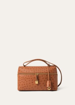 dww_28ef539e-956c-447f-a366-8afec02978c4.jpg Loro Piana Extra Bag L27 Ostrich Leather