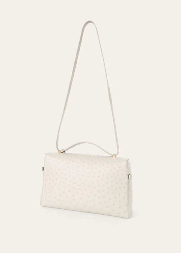 fee_2e5cff9b-490d-468d-9c36-732433d68765.jpg Loro Piana Extra Bag L27 Ostrich Leather
