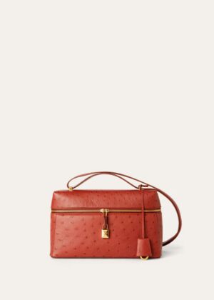 qq_96e806b6-60e3-4a8c-97fe-6650658dba9a.jpg Loro Piana Extra Bag L27 Ostrich Leather