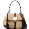 22983213_53253390_1000.jpg Chloé Penelope woven-raffia mini bag