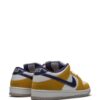 Nike  SB Dunk low-top sneakers