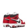 Jordan 1 TD Mid Chicago sneakers