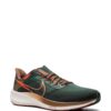 19695837_43975358_1000-1.jpg Nike Zoom Pegasus 39 "A.I.R. Hola Lou" sneakers