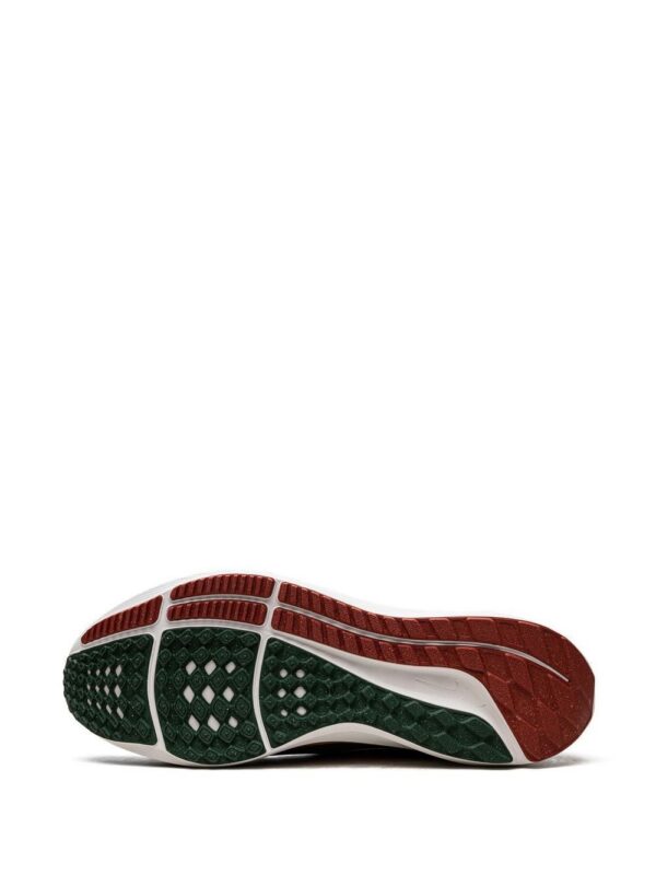19695837_43975364_1000-1.jpg Nike Zoom Pegasus 39 "A.I.R. Hola Lou" sneakers
