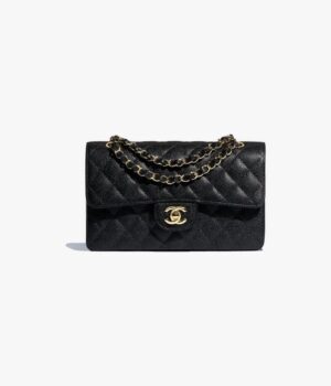 8855284940830.jpg Chanel Small Classic Handbag