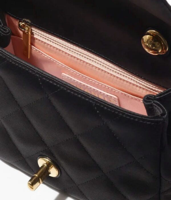 Chanel Mini Flap Bag with Top Handle bag