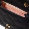 Chanel Mini Flap Bag with Top Handle bag