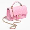 Chanel Mini Flap Bag with Top Handle bag