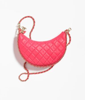 9517681868830.jpg Chanel Small Hobo Bag
