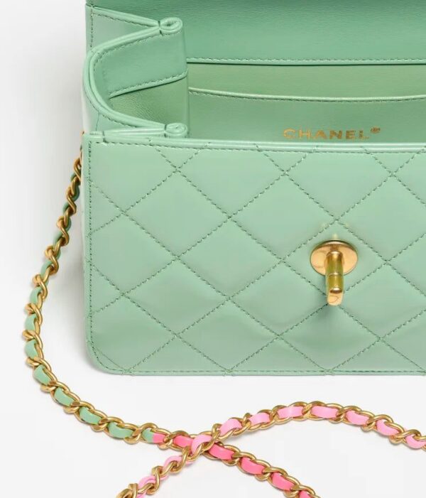Chanel Mini Flap Bag with Top Handle bag