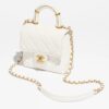Chanel Mini Flap Bag with Top Handle bag