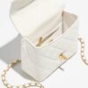 Chanel Mini Flap Bag with Top Handle bag