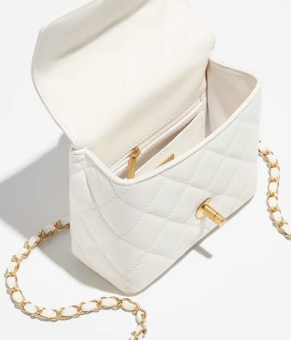 Chanel Mini Flap Bag with Top Handle bag