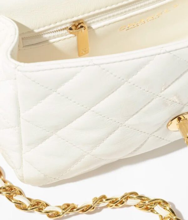Chanel Small Flap Bag with Top Handle bag