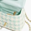 Chanel Mini Flap Bag with Top Handle bag