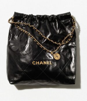 9524769357854.jpg Chanel 22 Large Handbag