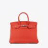 Birkin-Capucine-Togo-PHW-35cm-LG-01_400x_c6c3284e-3fcf-4663-a395-8799d9c6937a.jpg Hermès Birkin 35 in Capucine Togo with Palladium Hardware bag
