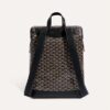 CISALPMMLTY01CL01P_3_dos_0594.jpg Goyard Cisalpin Backpack