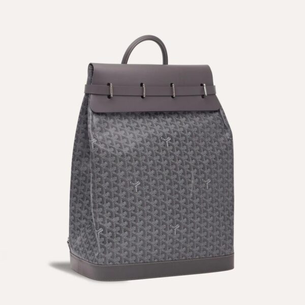 SAC_STEAMER_9520.jpg Goyard Steamer PM Bag