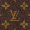 Louis Vuitton Artsy MM
