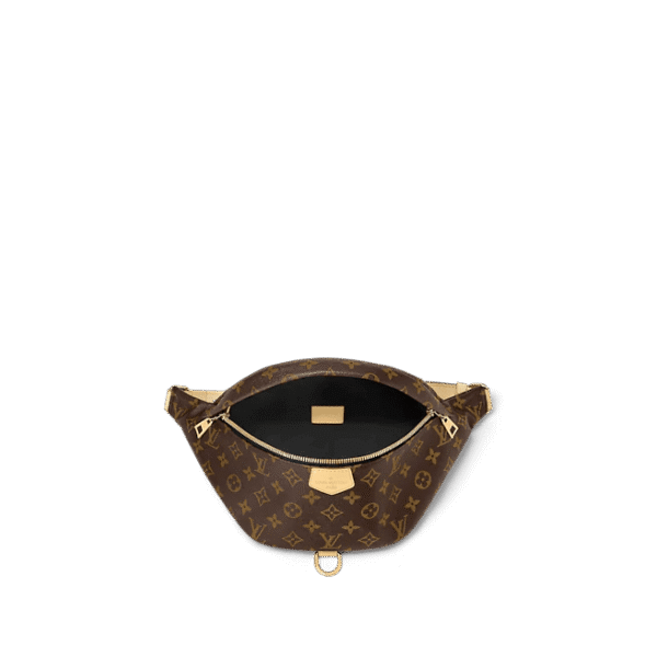Louis Vuitton Bumbag