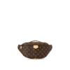 Louis Vuitton Bumbag