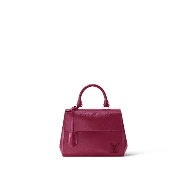 Louis Vuitton Cluny Mini