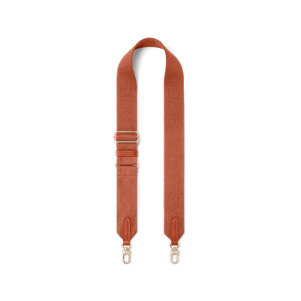 Louis Vuitton Coussin PM