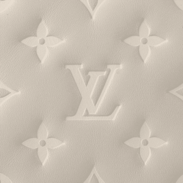 Louis Vuitton Coussin PM